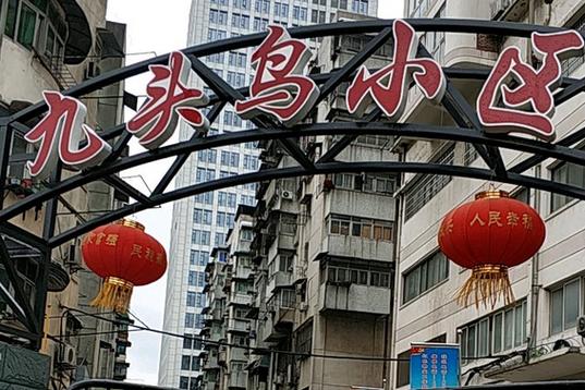 武汉市江汉新华路万达,共计房屋240户,小区物业公司为无物业管理服务